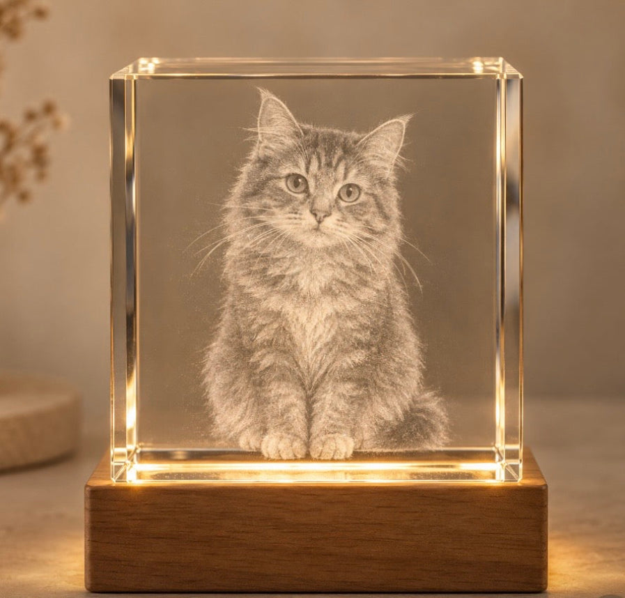 Bloqueo rectangularde cristal 3D personalizado